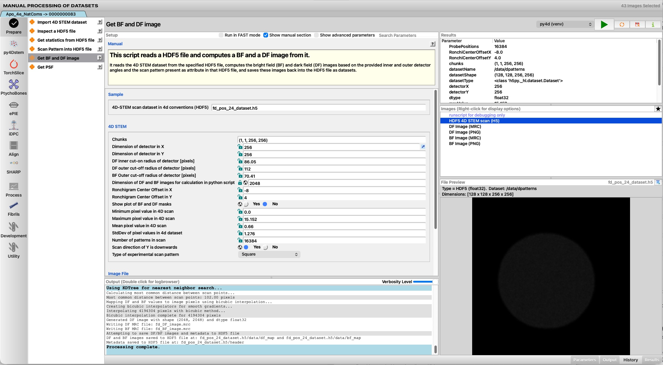 The Manual Processing window with numbered regions